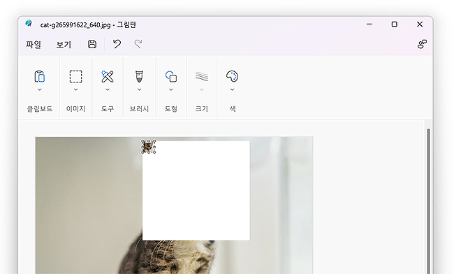 그림판-고양이-이미지-작게